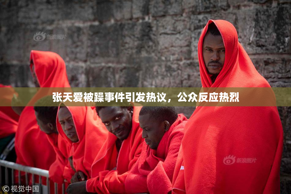 张天爱被躁事件引发热议，公众反应热烈