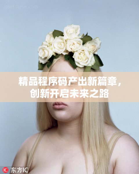 精品程序码产出新篇章，创新开启未来之路