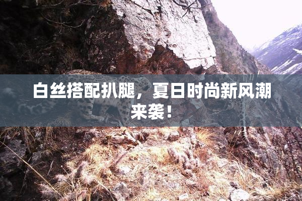 白丝搭配扒腿，夏日时尚新风潮来袭！