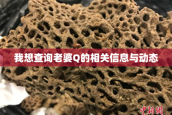 我想查询老婆Q的相关信息与动态