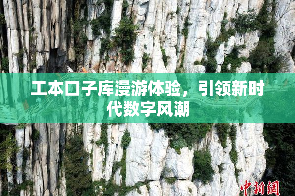 工本口子库漫游体验，引领新时代数字风潮
