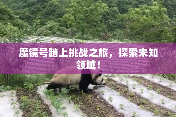 魔镜号踏上挑战之旅，探索未知领域！