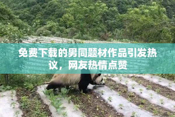 免费下载的男同题材作品引发热议，网友热情点赞