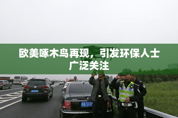 欧美啄木鸟再现，引发环保人士广泛关注