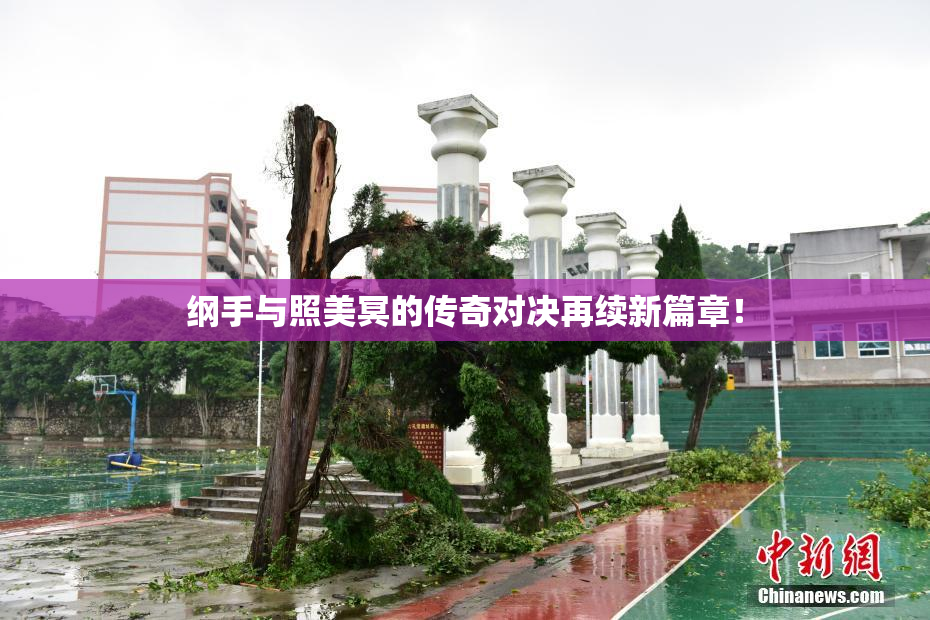 纲手与照美冥的传奇对决再续新篇章！