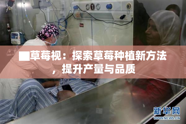▇草莓视：探索草莓种植新方法，提升产量与品质