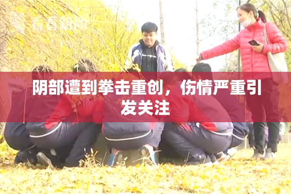 阴部遭到拳击重创，伤情严重引发关注
