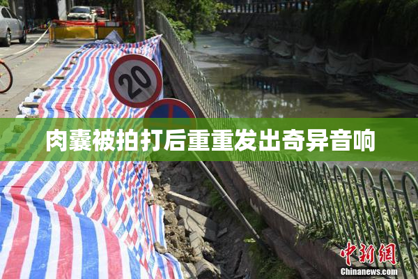肉囊被拍打后重重发出奇异音响