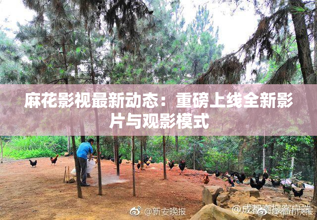 麻花影视最新动态：重磅上线全新影片与观影模式
