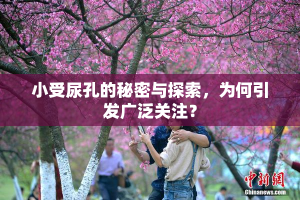 小受尿孔的秘密与探索，为何引发广泛关注？