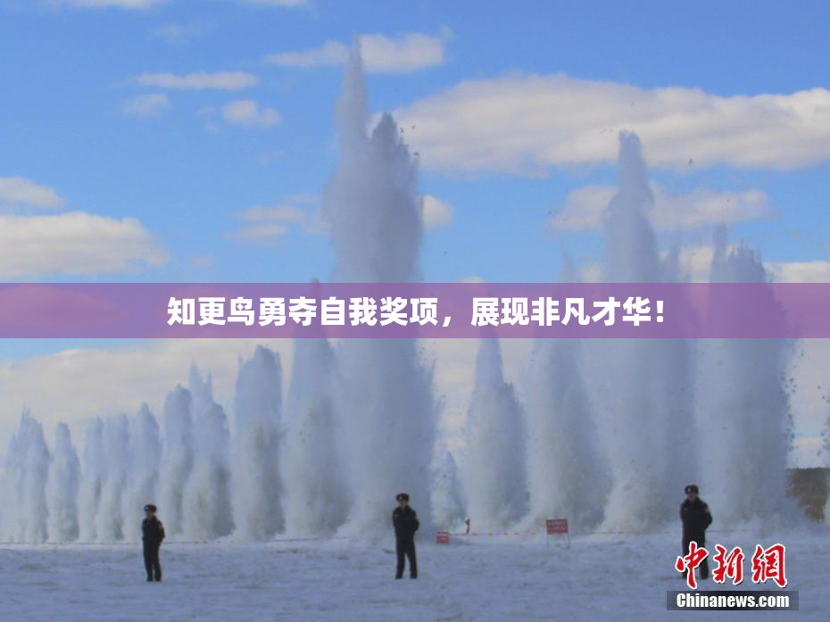 知更鸟勇夺自我奖项，展现非凡才华！