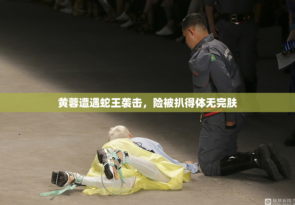 黄蓉遭遇蛇王袭击，险被扒得体无完肤