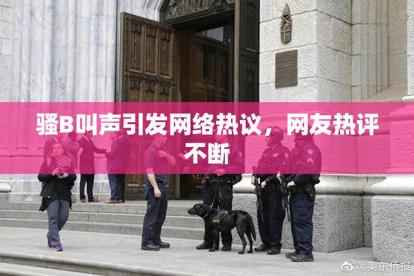 骚B叫声引发网络热议，网友热评不断