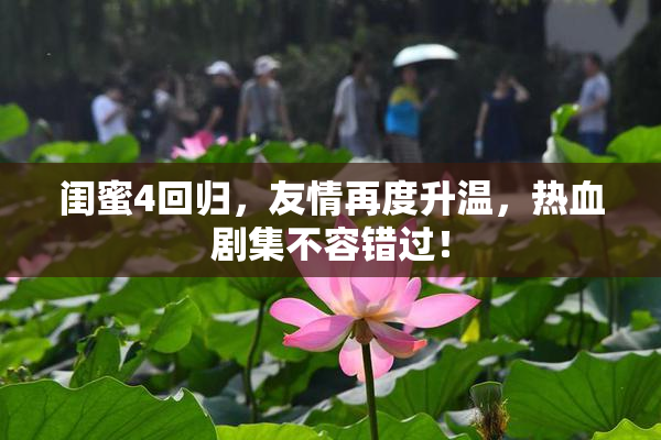 闺蜜4回归，友情再度升温，热血剧集不容错过！