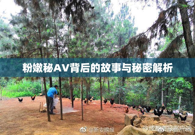 粉嫩秘AV背后的故事与秘密解析