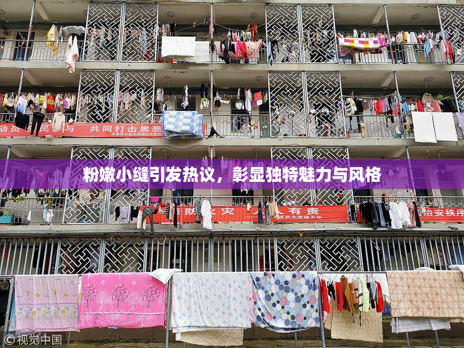 粉嫩小缝引发热议，彰显独特魅力与风格
