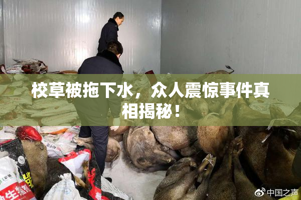 校草被拖下水，众人震惊事件真相揭秘！