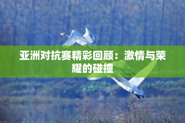 亚洲对抗赛精彩回顾：激情与荣耀的碰撞