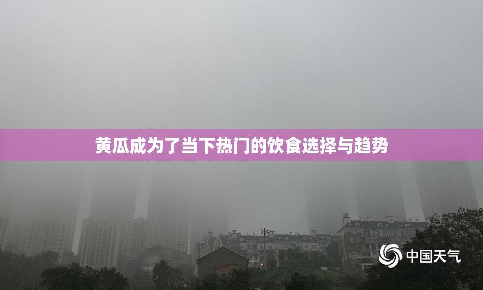 黄瓜成为了当下热门的饮食选择与趋势