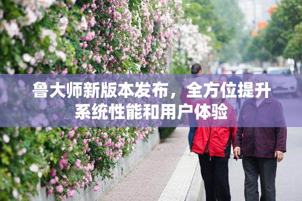 鲁大师新版本发布，全方位提升系统性能和用户体验