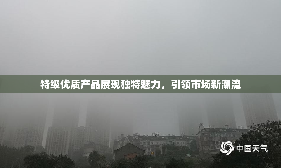 特级优质产品展现独特魅力，引领市场新潮流
