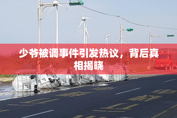 少爷被调事件引发热议，背后真相揭晓