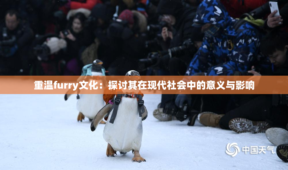 重温furry文化：探讨其在现代社会中的意义与影响
