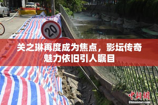 关之琳再度成为焦点，影坛传奇魅力依旧引人瞩目