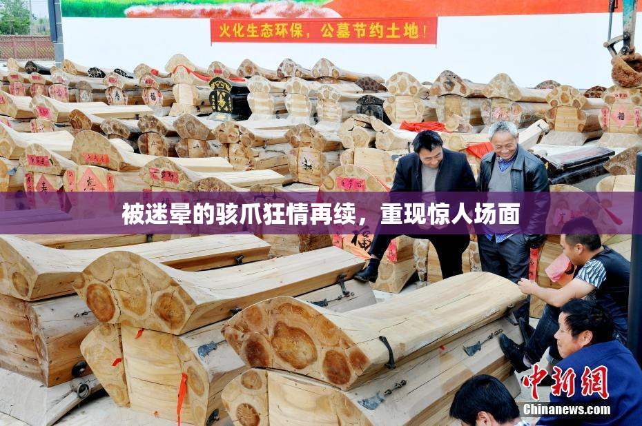 被迷晕的骇爪狂情再续，重现惊人场面