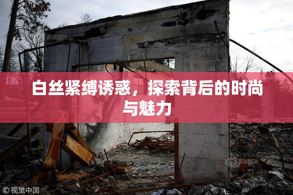 白丝紧缚诱惑，探索背后的时尚与魅力