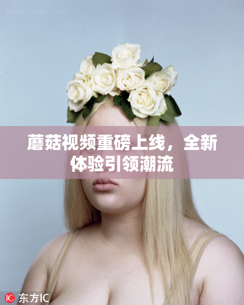 蘑菇视频重磅上线，全新体验引领潮流