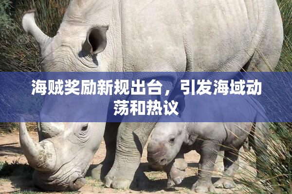 海贼奖励新规出台，引发海域动荡和热议