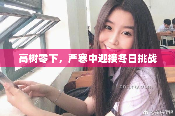 高树零下，严寒中迎接冬日挑战