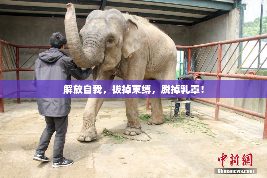 解放自我，拔掉束缚，脱掉乳罩！