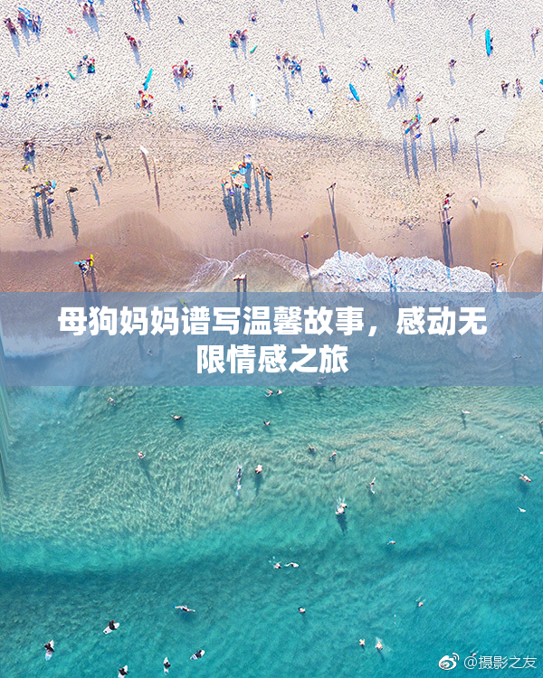 母狗妈妈谱写温馨故事，感动无限情感之旅