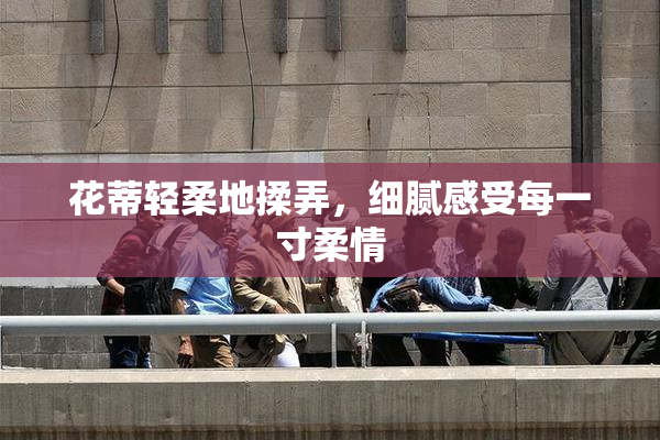 花蒂轻柔地揉弄，细腻感受每一寸柔情