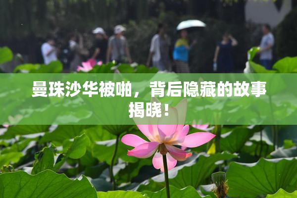 曼珠沙华被啪，背后隐藏的故事揭晓！