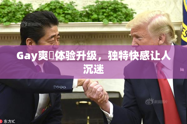 Gay爽擼体验升级，独特快感让人沉迷
