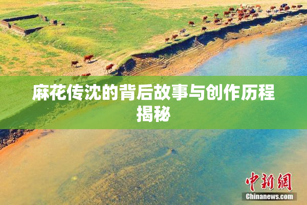 麻花传沈的背后故事与创作历程揭秘