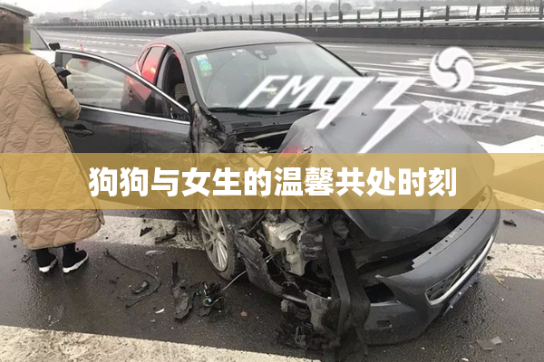 狗狗与女生的温馨共处时刻