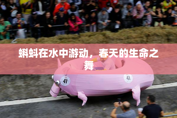 蝌蚪在水中游动，春天的生命之舞