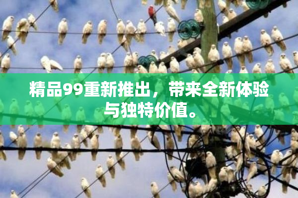 精品99重新推出，带来全新体验与独特价值。
