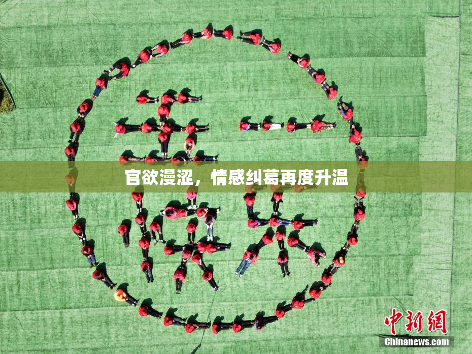 官欲漫涩，情感纠葛再度升温