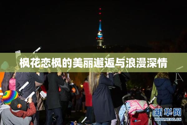 枫花恋枫的美丽邂逅与浪漫深情