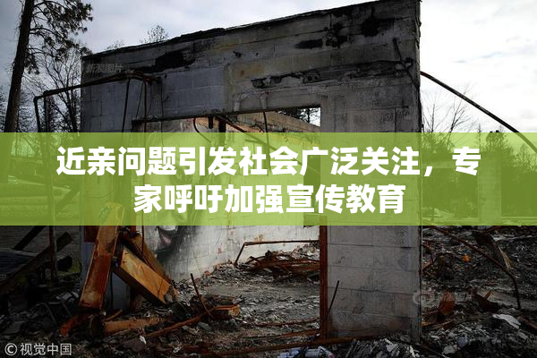近亲问题引发社会广泛关注，专家呼吁加强宣传教育
