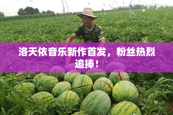 洛天依音乐新作首发，粉丝热烈追捧！