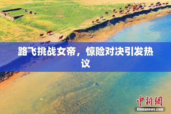 路飞挑战女帝，惊险对决引发热议