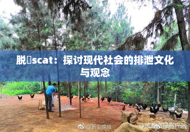 脱糞scat：探讨现代社会的排泄文化与观念