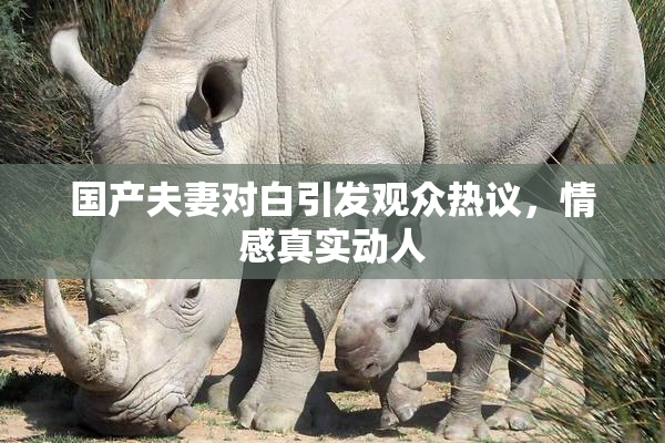 国产夫妻对白引发观众热议，情感真实动人