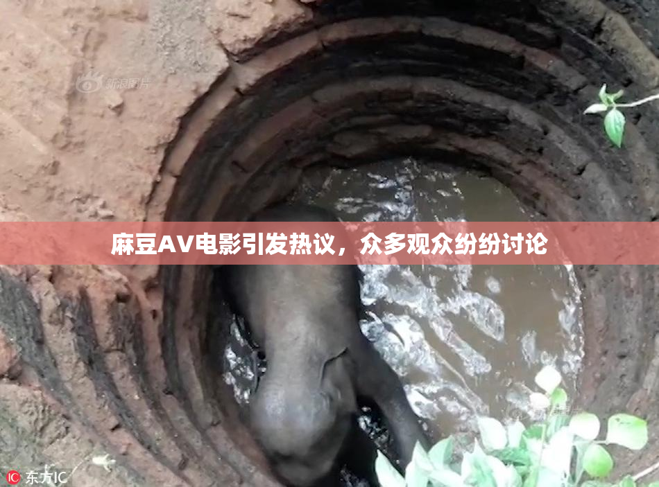 麻豆AV电影引发热议，众多观众纷纷讨论